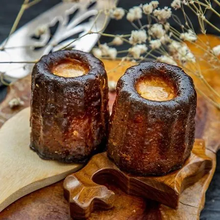 Jolie Maison 84 M2 Ocean Bordeaux Medoc Chateaux بيت للعطل